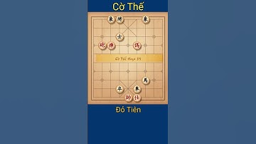 Cờ thế,  Xe pháo mã đối đơn sỹ bền tượng #shorts #cothe #chess