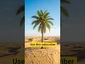 use this subscriber #explore #funny #viral #ai