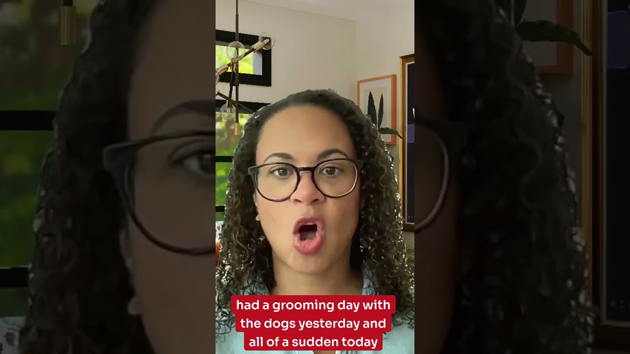 Think Your Pet's Causing Your Child's Allergy Symptoms? Start Tracking This