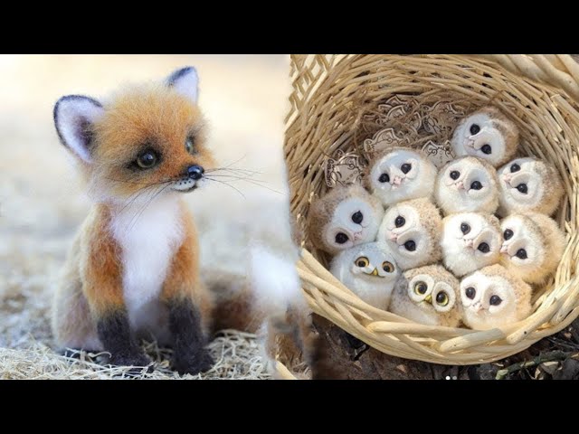 Cute Baby Animals Videos Compilation | Funny and Cute Moment of the Animals #29 - Cutest Animals class=