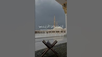 ما تيسر من سورة الجاثية بصوت الشيخ ياسر الدوسري ❤️ #القران_الكريم #الشيخ_ياسر_الدوسري