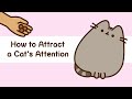 Pusheen: How to Attract a Cat&#39;s Attention