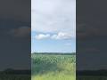 Nature, freedom and a British field blowing in the wind 💨