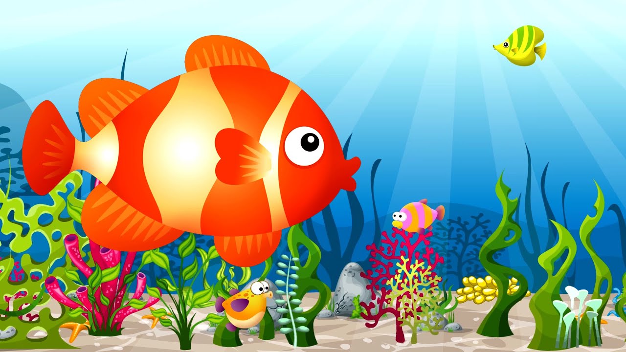 Kırmızı Balık Bebek Şarkıları 👶 Minik Bebek YouTube