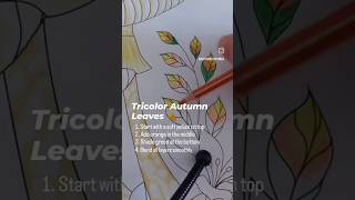 Adult Coloring Tutorials: How to Color Tricolor Autumn Leaves #adultcoloring #coloringbook Profile