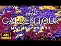 The best flower gardens in the world are on mackinac island  2024 spring garden tour  may flowers