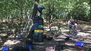 Crate stacking - it's a screamer of an activity