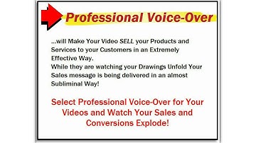 Custom Whiteboard Animation Professional Voice-Over Sample 8