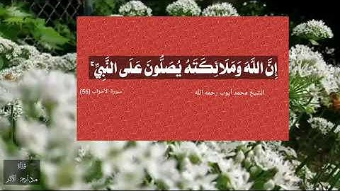 إِنَّ اللَّهَ وَمَلَائِكَتَهُ يُصَلُّونَ عَلَى النَّبِيِّ ۚ من سورة الأحزاب || الشيخ محمد أيوب رحمه