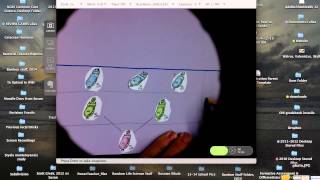 How to get started on the Caminalcule Evolution Lab