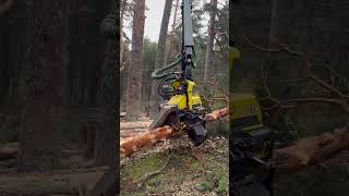 “Forest Efficiency: Watch John Deere 1270G Harvester Tackle Tree” #Johndeere #Harvester #Viral #Tree