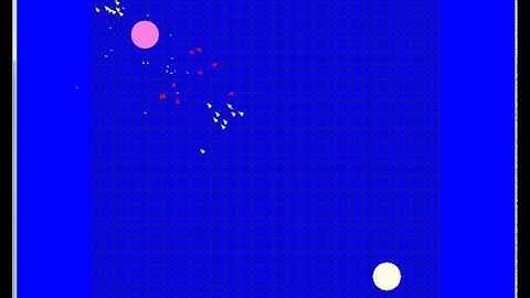 My Opengl dog fighting