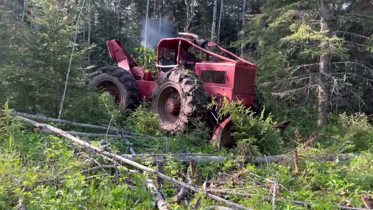 Timberjack 230 skidding logs