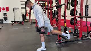DB RFE Split Squat