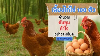 คำนวณต้นทุน กำไร เลี้ยงไก่ไข่ 100 ตัว อย่างละเอียด!