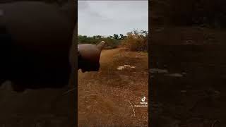 Inside a N4M ($3,000) plots in Eagles Layout Ugwuomu Nike Emene Enugu Inside a N4M ($3,000) plots in Eagles Layout Ugwuomu Nike Emene Enugu