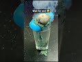 मैं तकला हो जाऊंगा अगर 🤣🤣 !! ~wood toy - woodworking art skill / wood hand crafts /#shorts