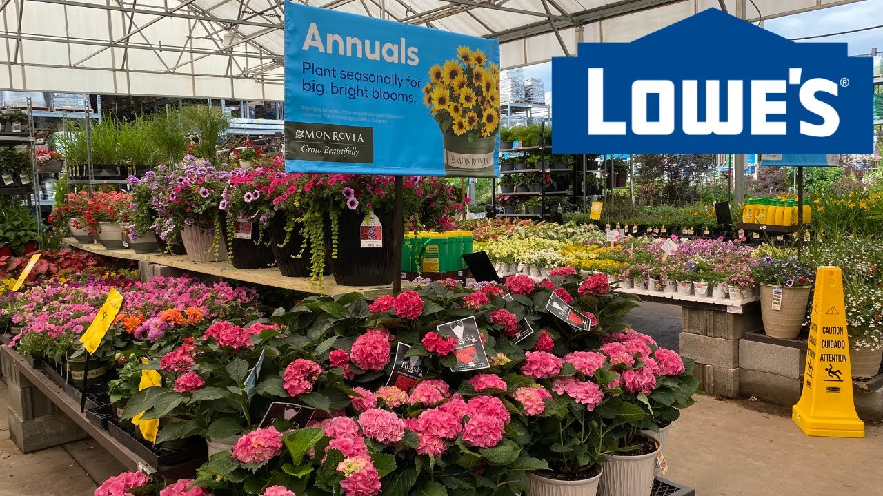LOWE'S INVENTORY MAY 2023 LOADS OF FLOWERING SHRUBS PERENNIALS PROVEN