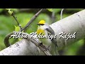 Sumi Gospel Song Alhou Kikimiye Kije Sumi Gospel Song Alhou Kikimiye Kije