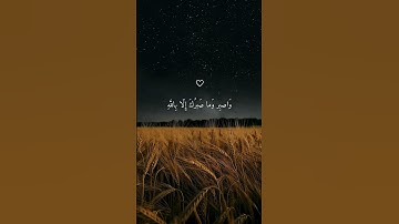 تلاوة هادئة تأخذك إلى عالم من الهدوء والسكينة بصوت الشيخ ماهر المعيقلي ♡ #ماهر_المعيقلي​ #قرآن 