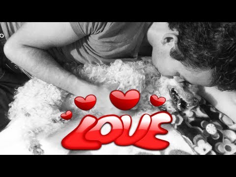 Contigo Aprendí - Melissa Hicks | Paseando