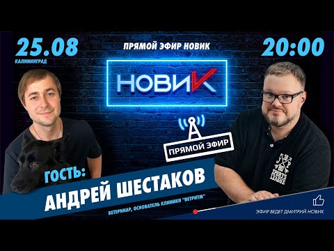 Видео: Экстремальные ветеринарные расходы: как далеко ВЫ готовы пойти со своими домашними животными?