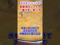 隠し味は⚫︎⚫︎市販のルー。カレーの1番旨い作り方教えます。【もっと早く教えてほしかった】