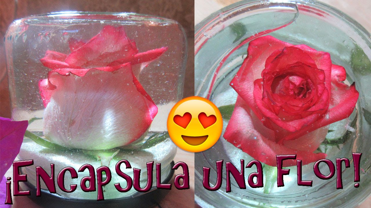 DIY Encapsula una rosa ♥♥ #rosa #regalo