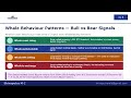 Crypto Fundamentals Series - Whale Wallet Tracking.