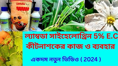 ল্যাম্বডা সাইহেলোথ্রিন 5%E.C কীটনাশকের কাজ ও ব্যবহার 2024 #কীটনাশক