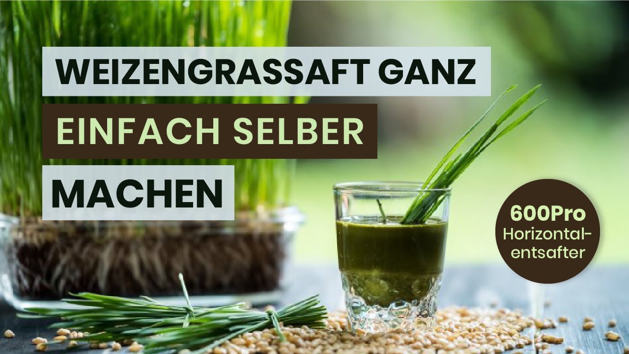 Weizengras entsaften – So funktioniert es am besten! - Optimum 600 Pro Entsafter