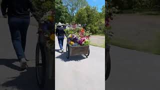 THE LIVE GARDENING SHOW flowers! Did you miss it? Comment APP to get the FREE APP and watch the