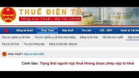 Loại người nộp thuế 0900 là gì năm 2024