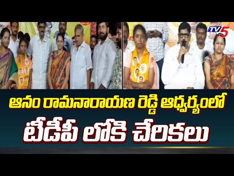 YCP Leaders Joined TDP Presence of Anam Ramanarayana Reddy | Nellore | Tv5 News - TV5NEWS