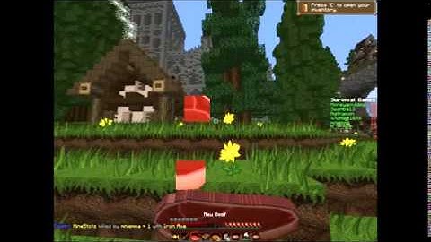 Riverton Castle bug? - Survival Games - Mineplex.com