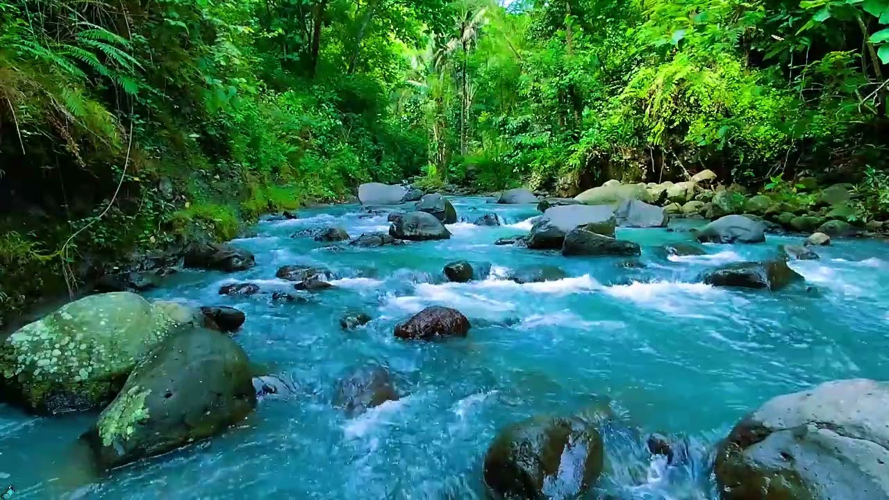 Peaceful Morning River Sounds 🌲💧 Calm Water Sounds for Relax