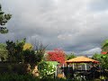 Volkstuinen in de herfst nut en genoegen en sloterdijkermeer  amsterdam