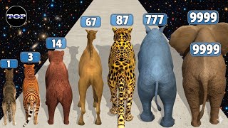 Animal Evolution 3D - Level Up Animal Max Level Gameplay (Animal Run) 