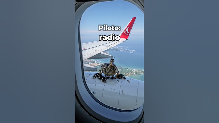 This Pilot DIDN'T KNOW that EVERYONE in the Tower was listening to him!