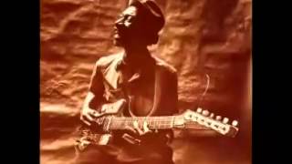 Hound Dog Taylor - She's Gone