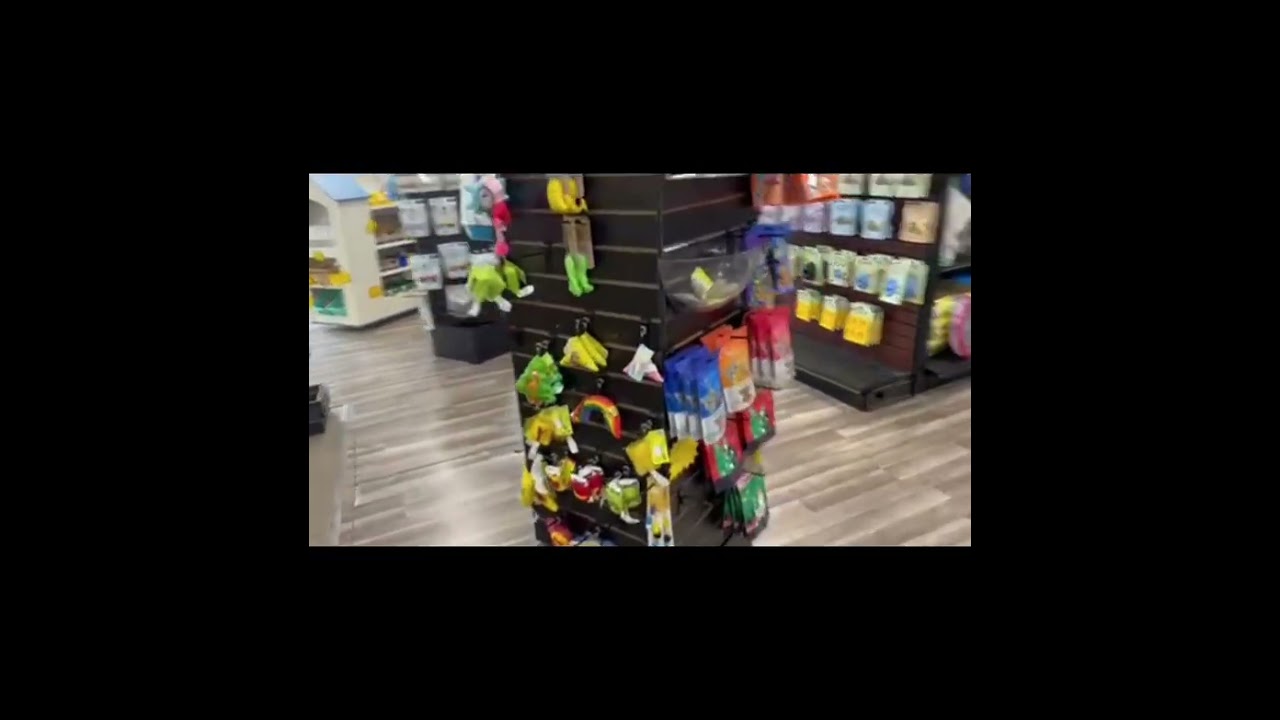 💙🐾 BEETHOVEN GETTING PRETTY AT THE PET CARE MARKET 🐾💙