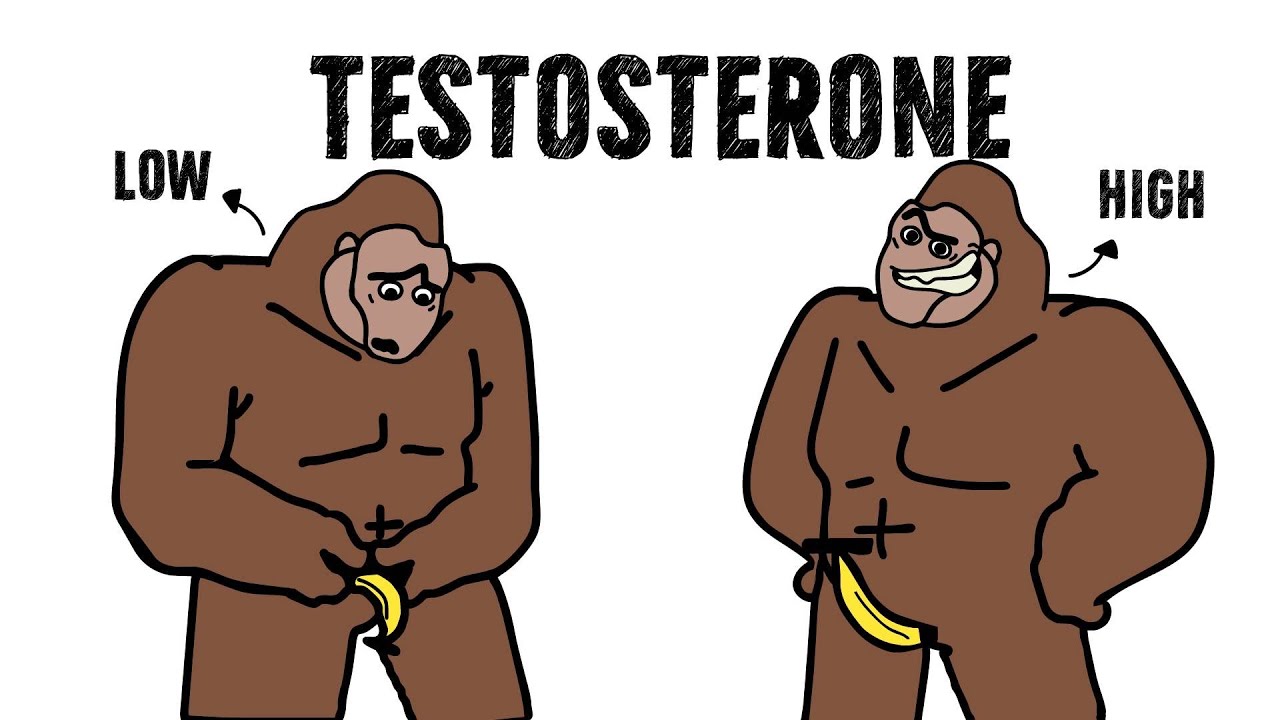 How Low Testosterone Affects Your Gains 