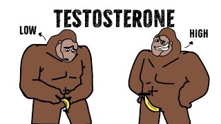How Low Testosterone Affects Your Gains