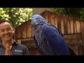 Zoo Day | Meet the parrot