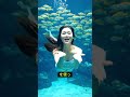 人魚が水中で呼吸する秘密 😱 驚きの真実とは？