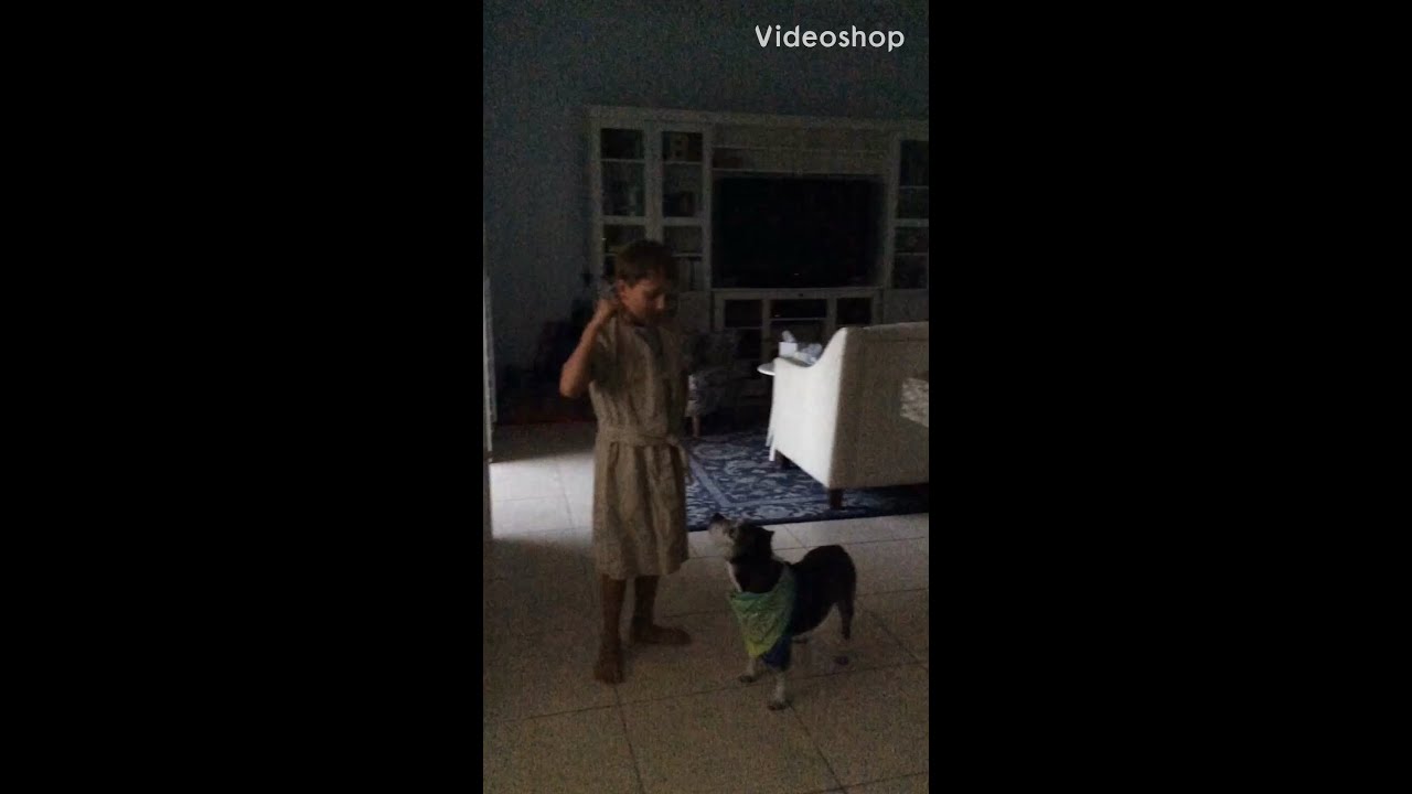 How to get your dog to try to eat you. YouTube