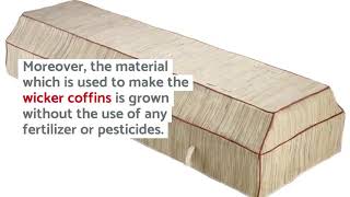 Celebrity Coffin types A guide to costs and a comparison of prices of different coffins Wealth