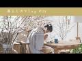 部屋を桜でいっぱいにした日🌸|小春日和と桜餅と春色ごはん。《 暮らしのVlog #173 》A Room Full of Cherry Blossoms!