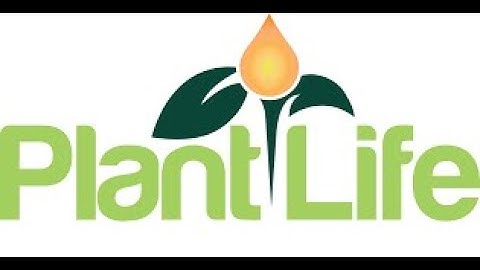 Plant Life Lesson 14 || EVS Grade1 worksheet || easy helpful class 1 evs worksheets with answers