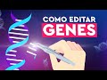 Como o CRISPR Funciona? (Edição Genética Explicada)